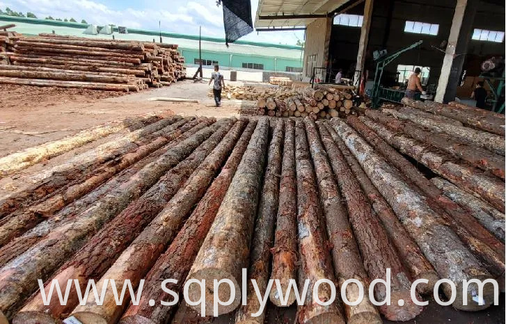 Shuttering/Marine Plywood, Construction Waterproof Film Faced Plywood for Building